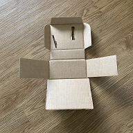 Single - Mitztrumental